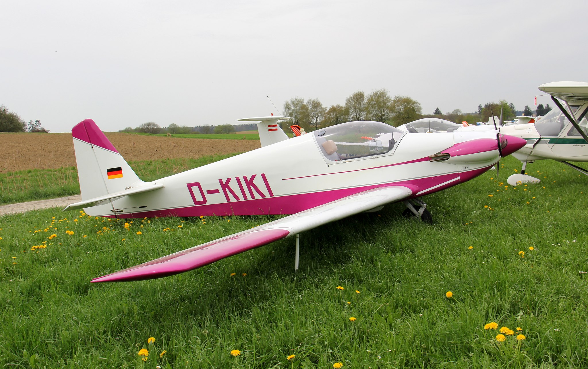 D-KIKI, pink and white, on the grass at Markdorf